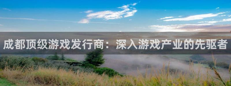 新宝gg奇迹登录怎么登录不了