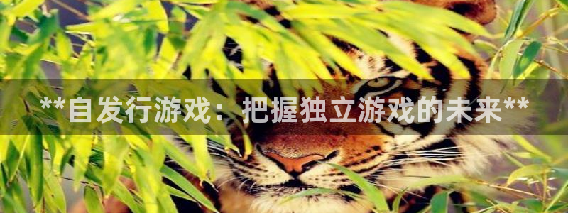 新宝gg创造奇迹登录入口