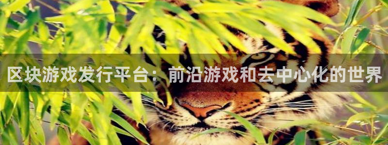 新宝gg创造奇迹平台注册登录：区块游戏发行平台：前沿游戏和去中心化的世界