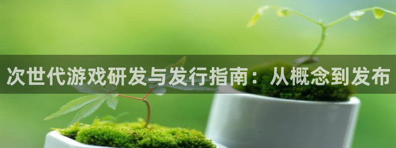 新宝gg奇迹登录怎么登录不了