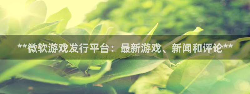 新宝gg注册