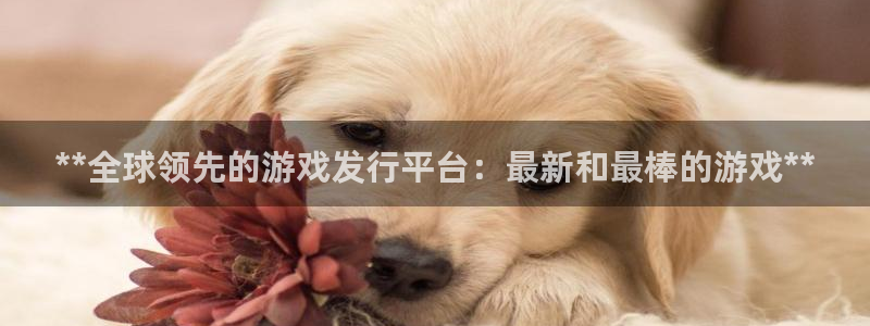 新宝gg一创造奇迹
