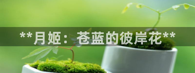 新宝gg真的能赚钱么