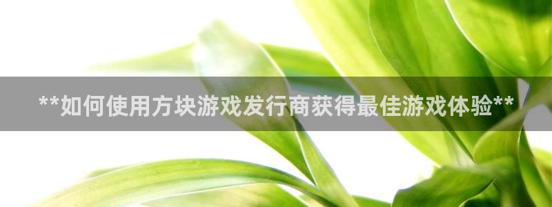 新宝gg创造奇迹登录首页：**如何使用方块游戏发行商获得最佳游戏体验**