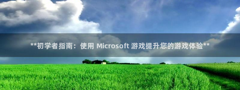 新宝gg创造奇迹怎么登录不上去：**初学者指南：使用 Microsoft 游戏提升您的游戏体验**