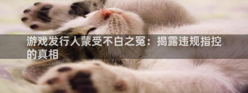 新宝gg平台—创造奇迹赌博：游戏发行人蒙受不白之冤：揭露违规指控
的真相