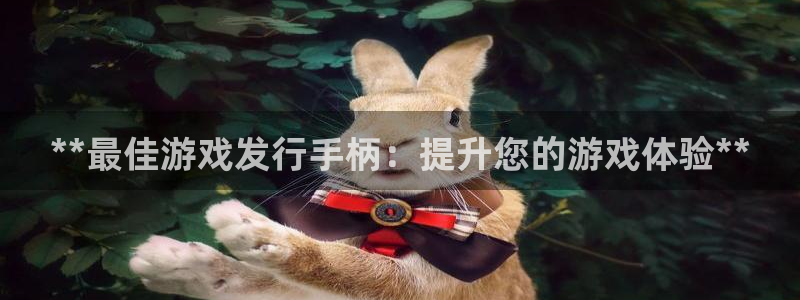 新宝gg创造奇奇迹：**最佳游戏发行手柄：提升您的游戏体验**