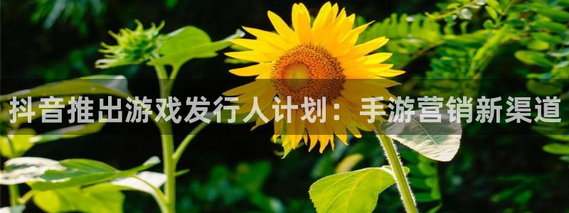 新宝gg平台注册登录指南：抖音推出游戏发行人计划：手游营销新渠道
