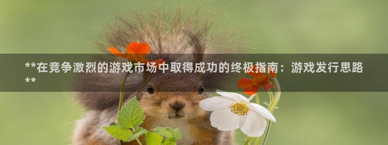 新宝gg注册：**在竞争激烈的游戏市场中取得成功的终极指南：游戏发行思路
**