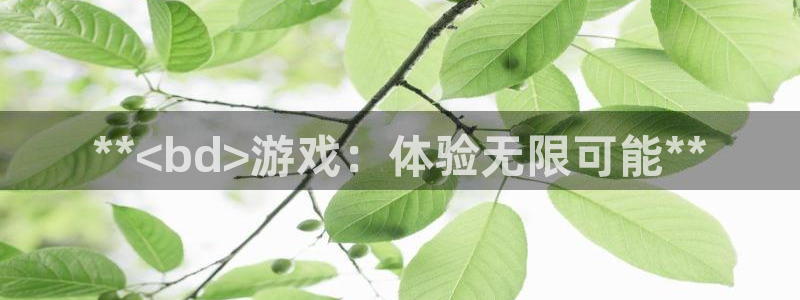 新宝gg—创造奇迹代理注册：**<bd>游戏：体验无限可能**