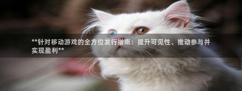 新宝gg账号注册平台：**针对移动游戏的全方位发行指南：提升可见性、推动参与并
实现盈利**