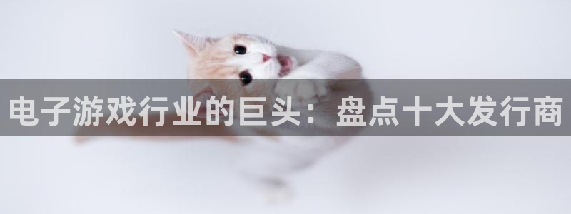 新宝GG创造奇迹：电子游戏行业的巨头：盘点十大发行商
