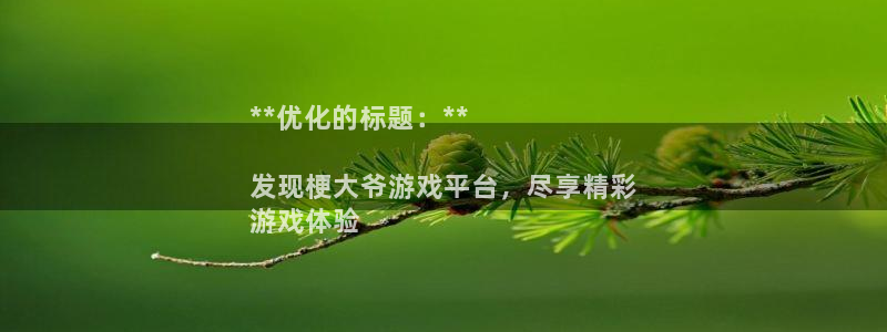 新宝GG平台开户：**优化的标题：**

发现梗大爷游戏平台，尽享精彩
游戏体验