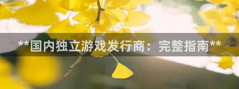 新宝gg登录不上去了了：**国内独立游戏发行商：完整指南**