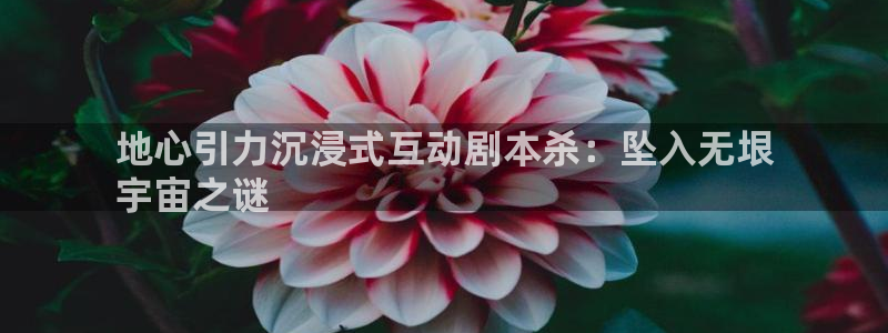 新宝GG平台开户：地心引力沉浸式互动剧本杀：坠入无垠
宇宙之谜
