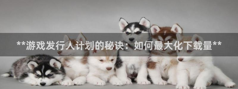 新宝GG平台登录注册：**游戏发行人计划的秘诀：如何最大化下载量**