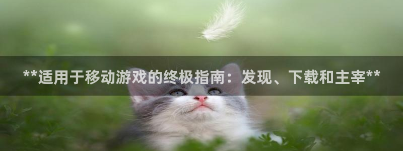 新宝gg创造奇迹登录入口网址：**适用于移动游戏的终极指南：发现、下载和主宰**
