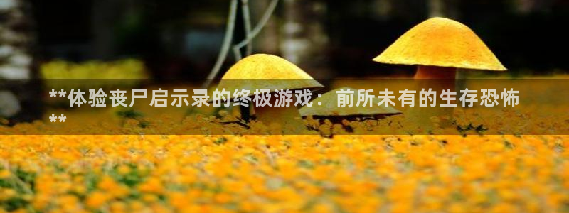 新宝gg创造奇迹官方登录：**体验丧尸启示录的终极游戏：前所未有的生存恐怖
**