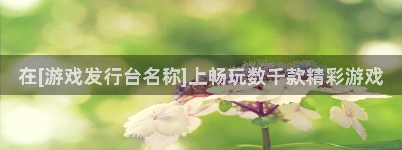 新宝gg登录入口：在[游戏发行台名称]上畅玩数千款精彩游戏