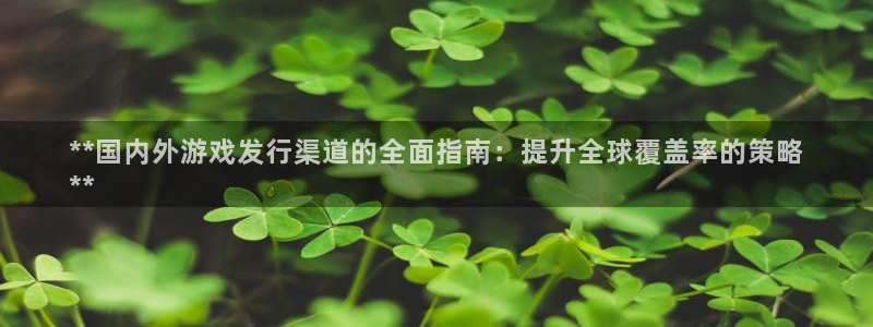 新宝gg一创造奇迹：**国内外游戏发行渠道的全面指南：提升全球覆盖率的策略
**