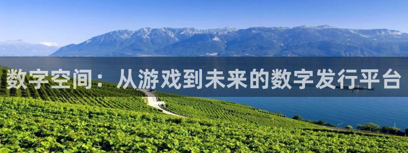 新宝gg账号注册平台
