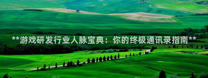新宝GG创造奇迹：**游戏研发行业人脉宝典：你的终极通讯录指南**