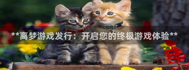 新宝gg创造奇迹登录注册优势：**离梦游戏发行：开启您的终极游戏体验**