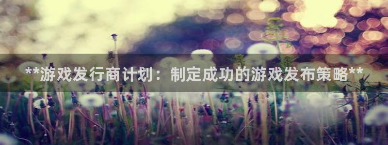 新宝gg娱乐创造奇迹登录官网：**游戏发行商计划：制定成功的游戏发布策略**