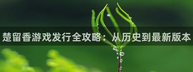 新宝gg—创造奇迹注册：楚留香游戏发行全攻略：从历史到最新版本