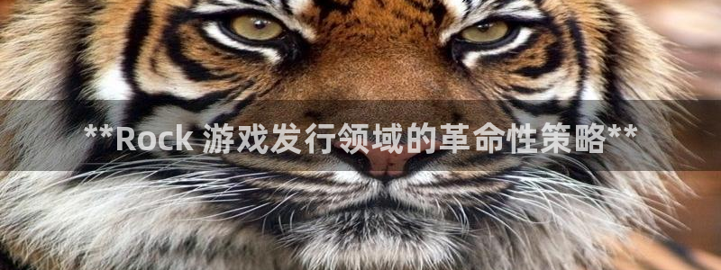 新宝gg创造奇迹登录注册入口：**Rock 游戏发行领域的革命性策略**