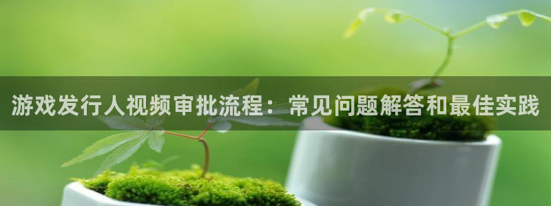 新宝gg奇迹登录怎么登录不了：游戏发行人视频审批流程：常见问题解答和最佳实践