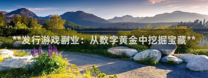 新宝gg娱乐创造奇迹登录官网：**发行游戏副业：从数字黄金中挖掘宝藏**
