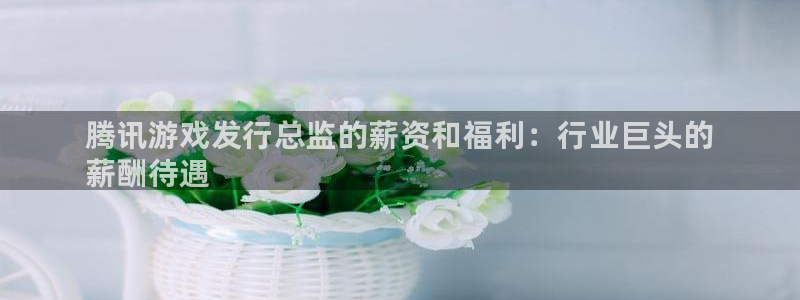 新宝gg登录了还能上吗：腾讯游戏发行总监的薪资和福利：行业巨头的
薪酬待遇