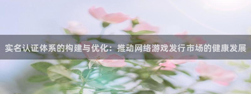 新宝gg怎么登录不上去了了：实名认证体系的构建与优化：推动网络游戏发行市场的健康发展