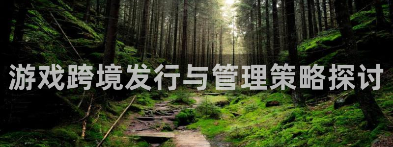 新宝gg登录不了是什么原因：游戏跨境发行与管理策略探讨