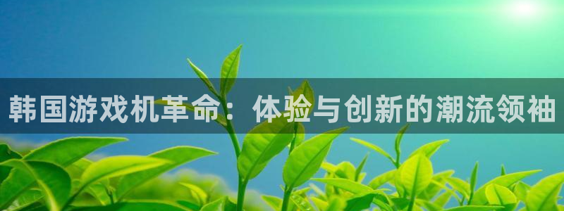 新宝gg创造奇迹为什么登录不了了：韩国游戏机革命：体验与创新的潮流领袖