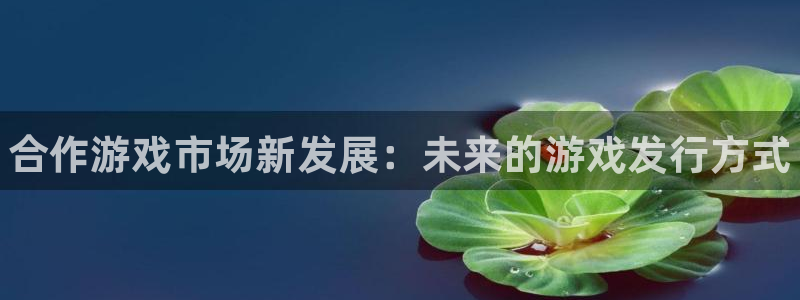 新宝gg真的能赚钱么：合作游戏市场新发展：未来的游戏发行方式