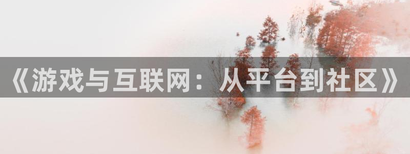 新宝gg创造奇迹为什么登录不了了：《游戏与互联网：从平台到社区》