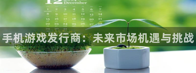 新宝gg一创造奇迹注册：手机游戏发行商：未来市场机遇与挑战