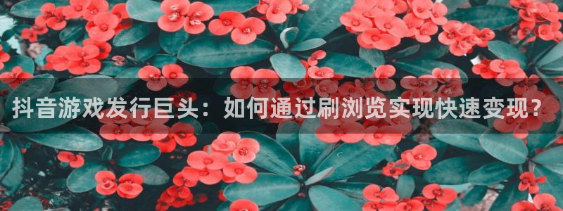 新宝gg创造奇迹平台怎么样：抖音游戏发行巨头：如何通过刷浏览实现快速变现？