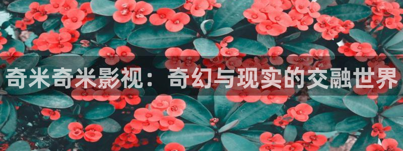驰策驰影院 电视剧免费