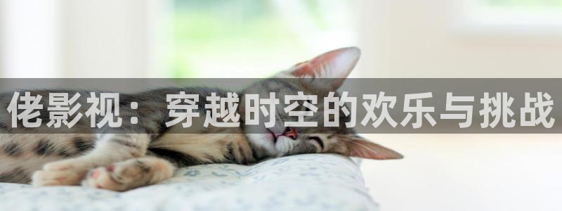 驰策影院在线观看电视剧