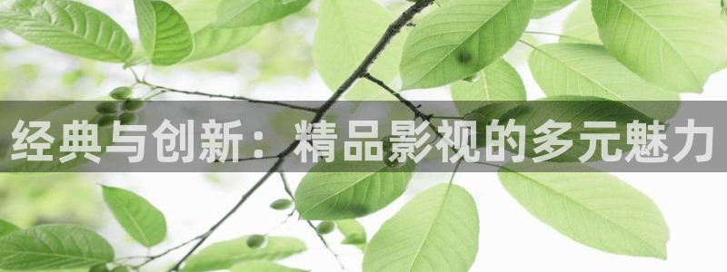 驰策影院首页