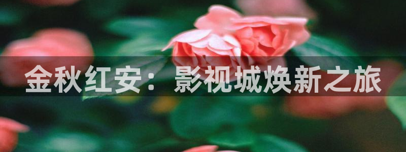 驰策影院在线观看