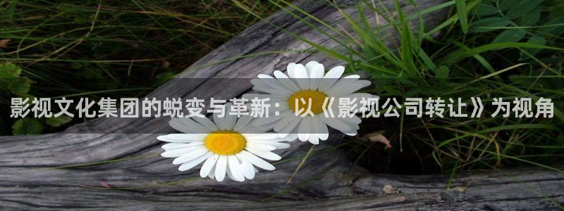 驰策影院