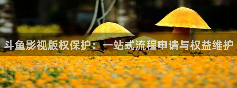 驰策影视