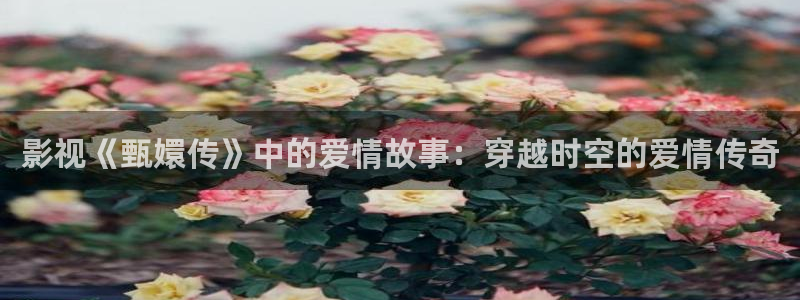 驰策驰影院 官网